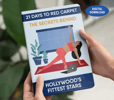 LightSteps Pro Bonus 3